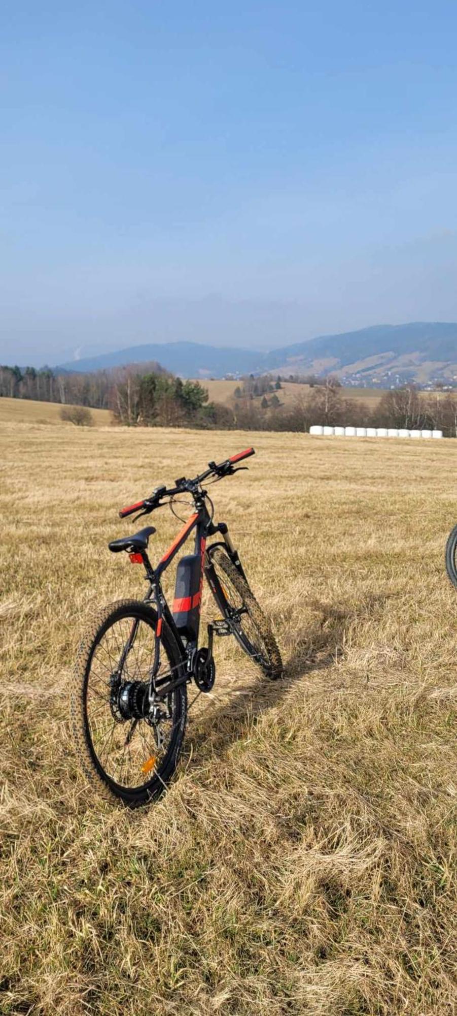 Domki Nad Potokiem Muszynka Bagian luar foto